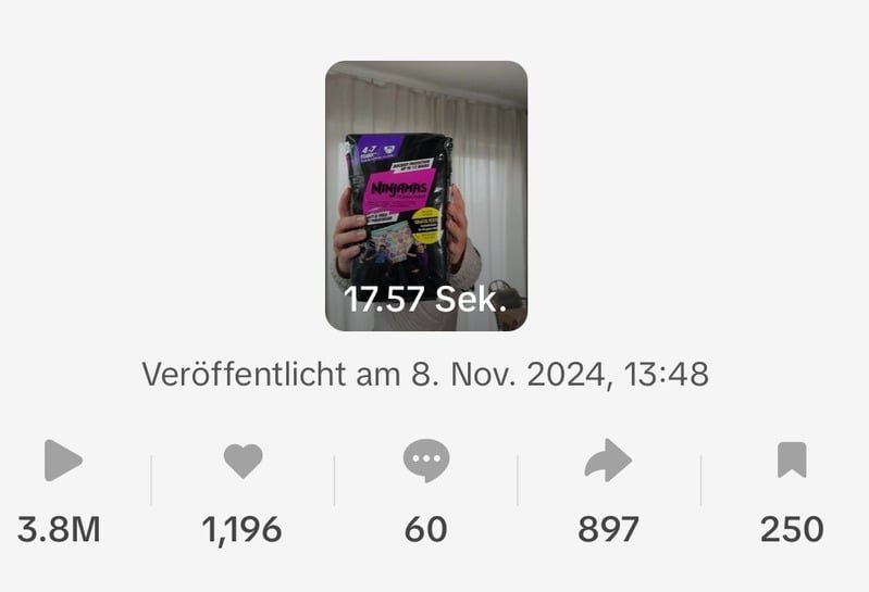 Statistik-Screenshot: 3,8 Millionen Aufrufe, veröffentlicht am 8. November 2024